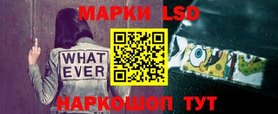 дмт Донской