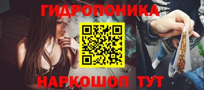 дмт Донской